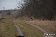 dsc_0127_2.jpg