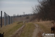 dsc_0128_2.jpg