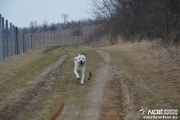 dsc_0130_2.jpg